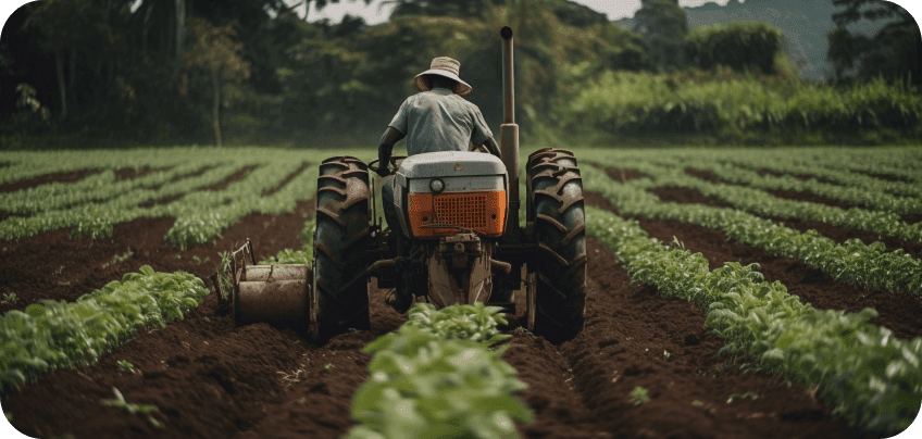 Financiamiento agricola