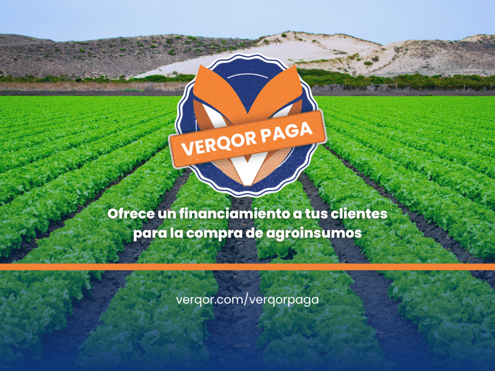 verqor paga