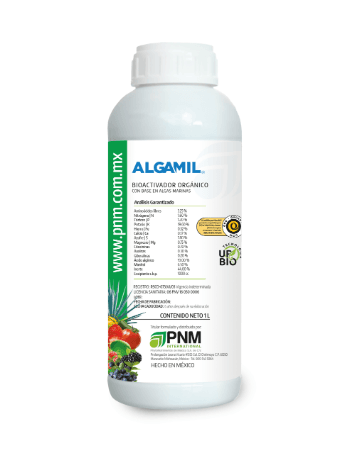  Algamil