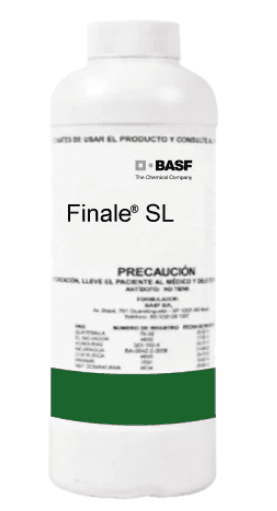 Finale