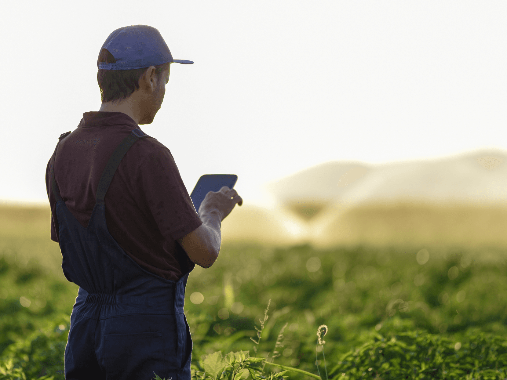 agricultor busca financiamiento