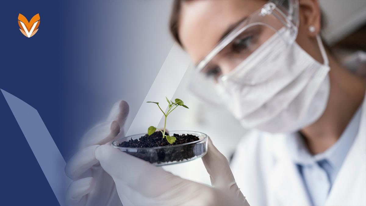 Agro y biomateriales: la agricultura del futuro