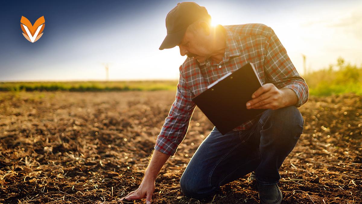 ¿Qué es un seguro agrícola? Y ¿para qué sirve?