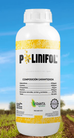 POLINIFOL