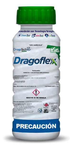 DRAGONFLEX