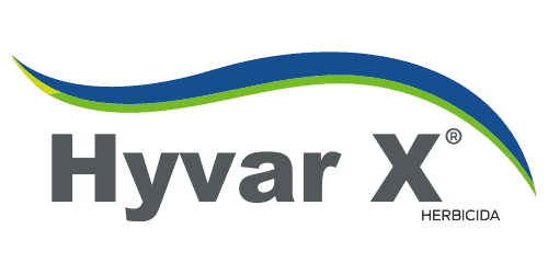 HYVAR X