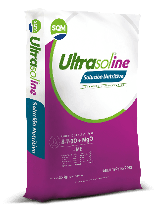 Ultrasoline Solucion Nutritiva