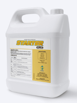 STARTER PLUS