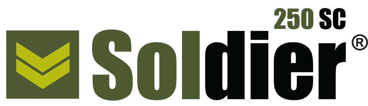 Soldier 250 SC (250 ml) de FMC
