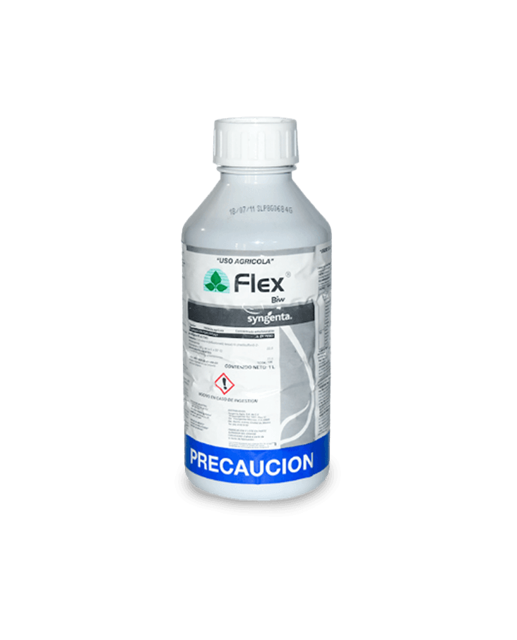 Tecnica 11 flex store