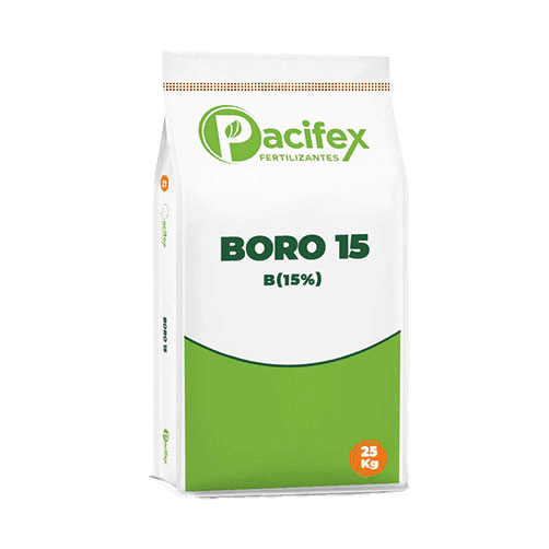 Boro 15