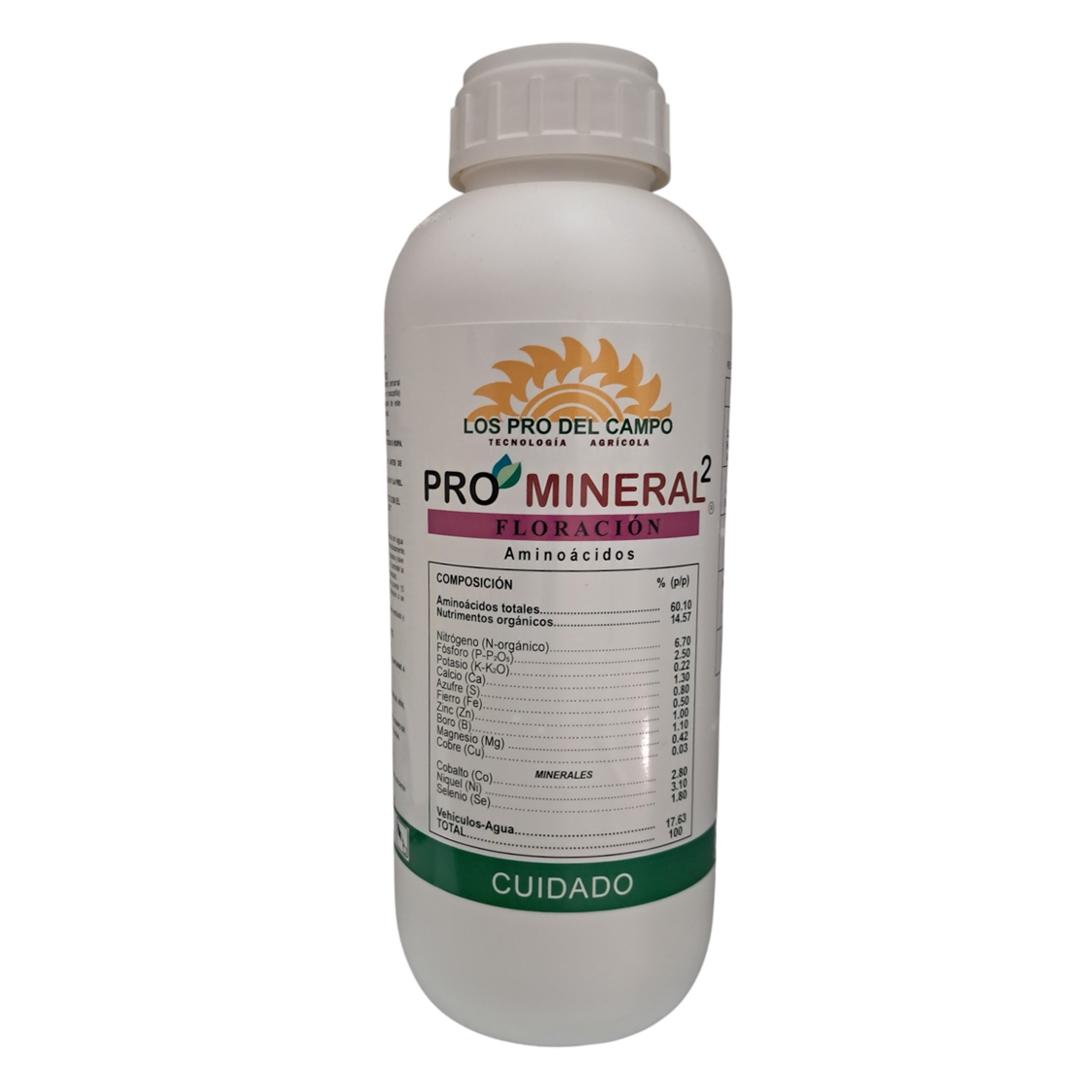 PRO MINERAL²