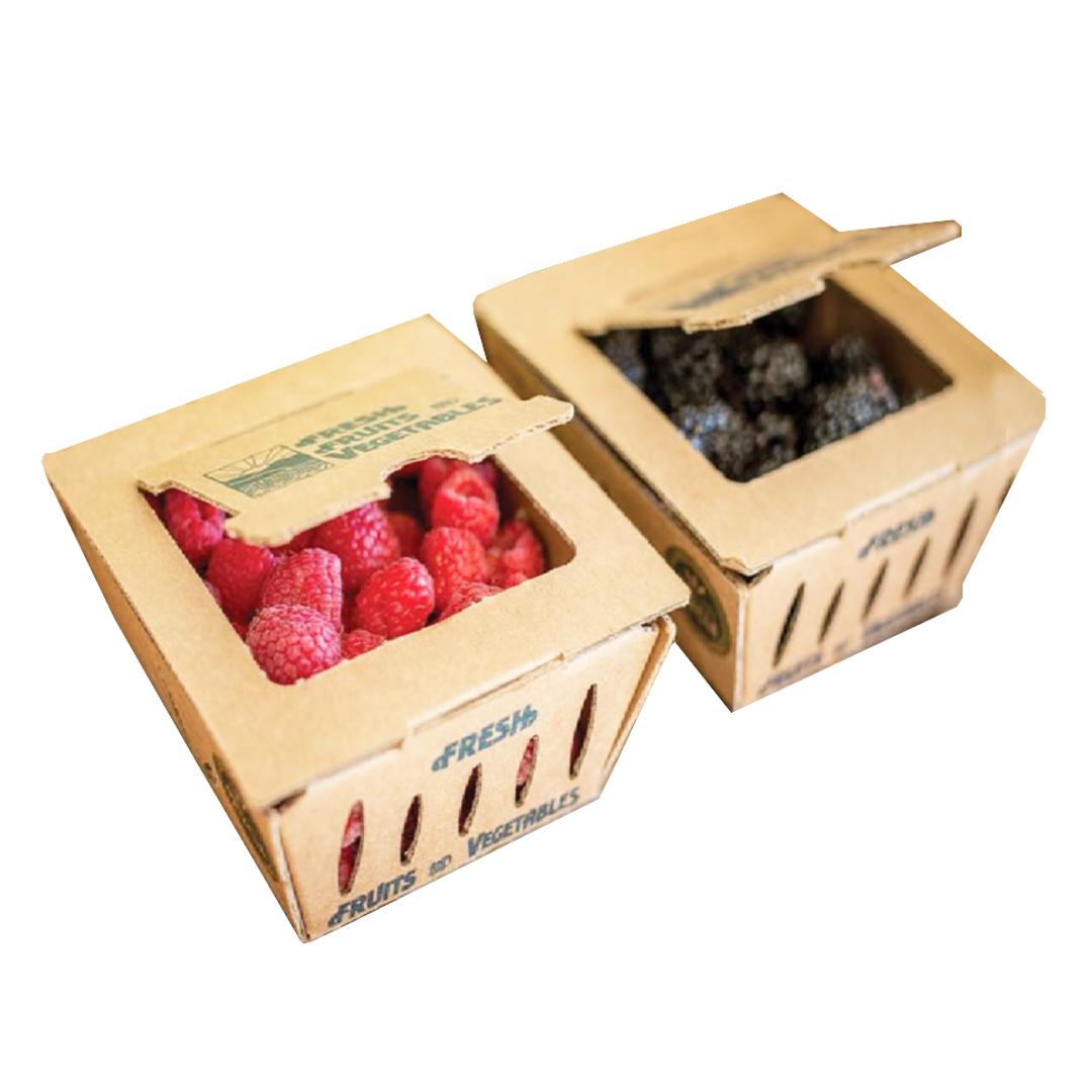 Cajas de Cartón