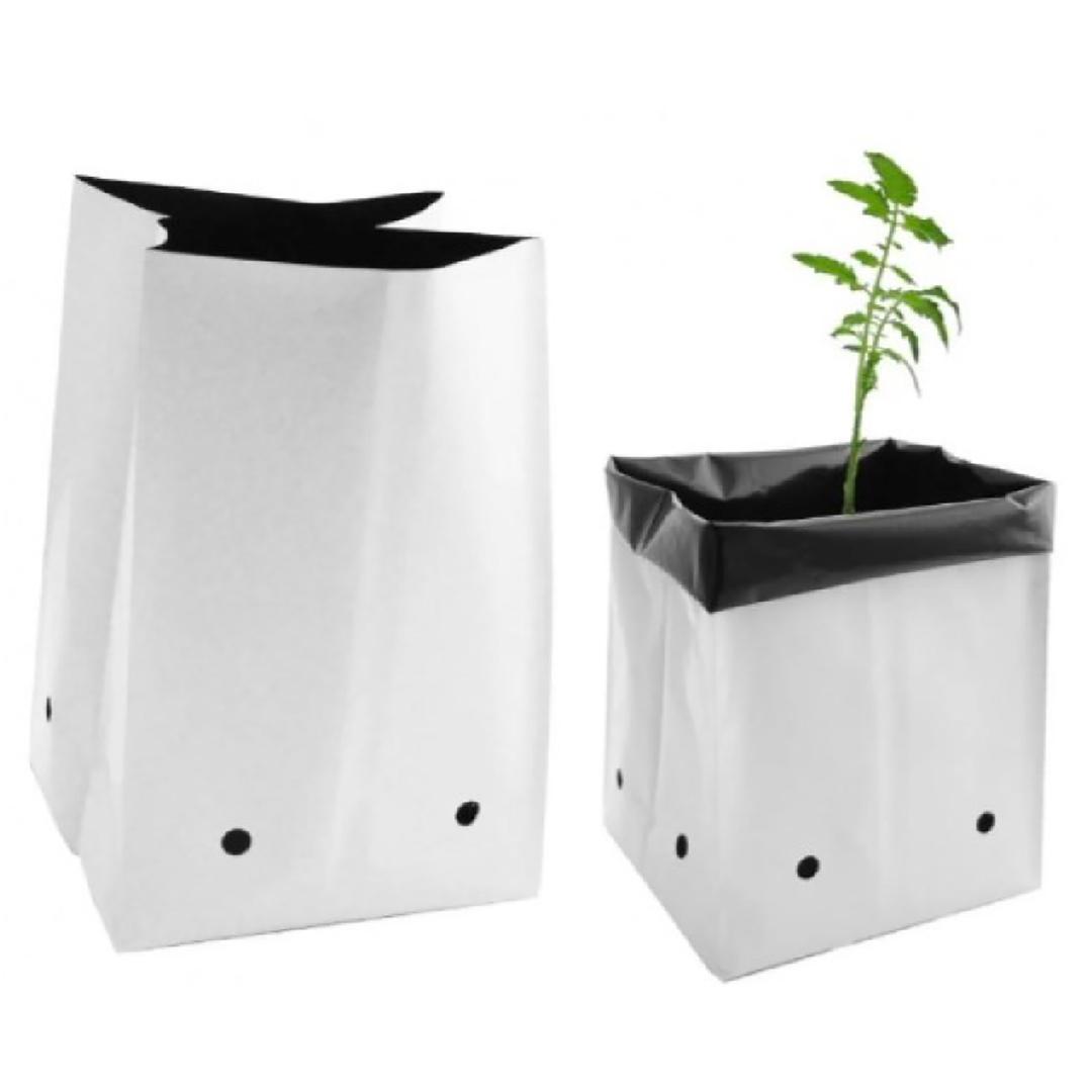 Bolsa de Cultivo