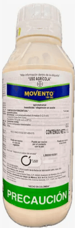 MOVENTO