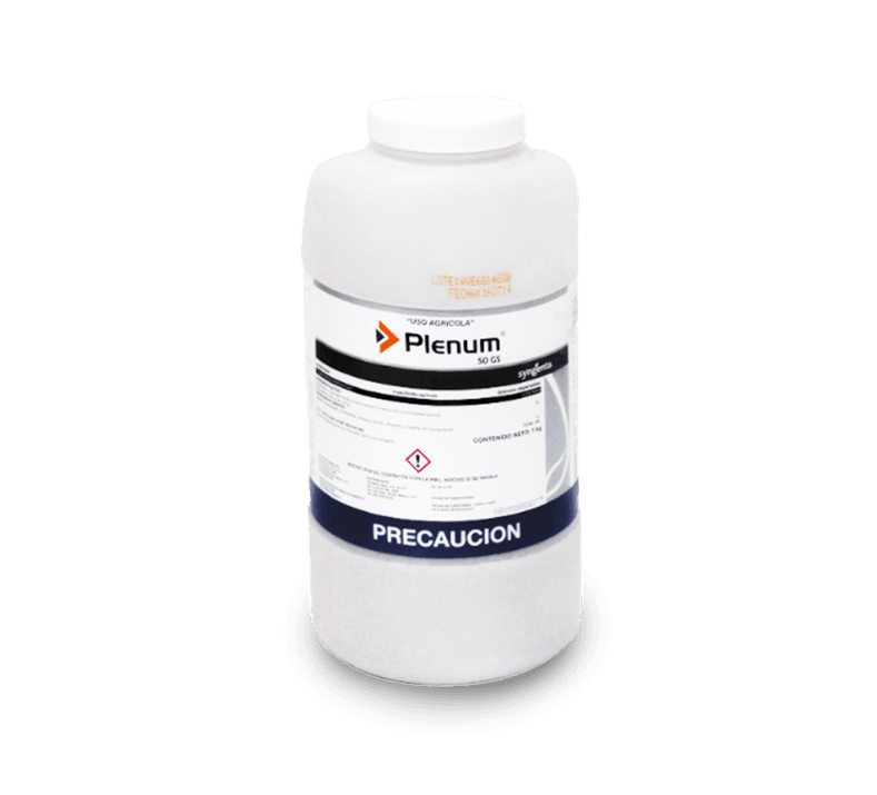 Plenum 50 GS
