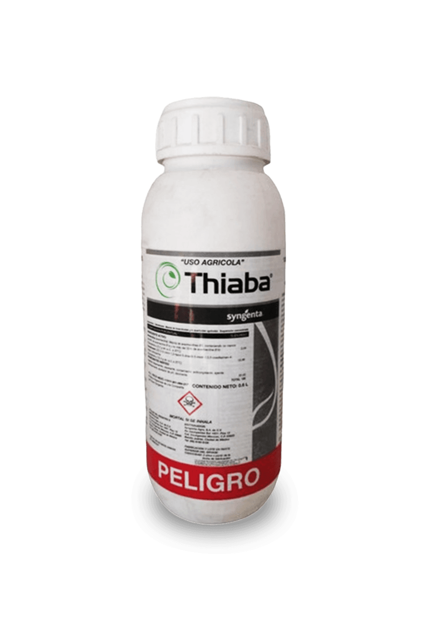 Thiaba