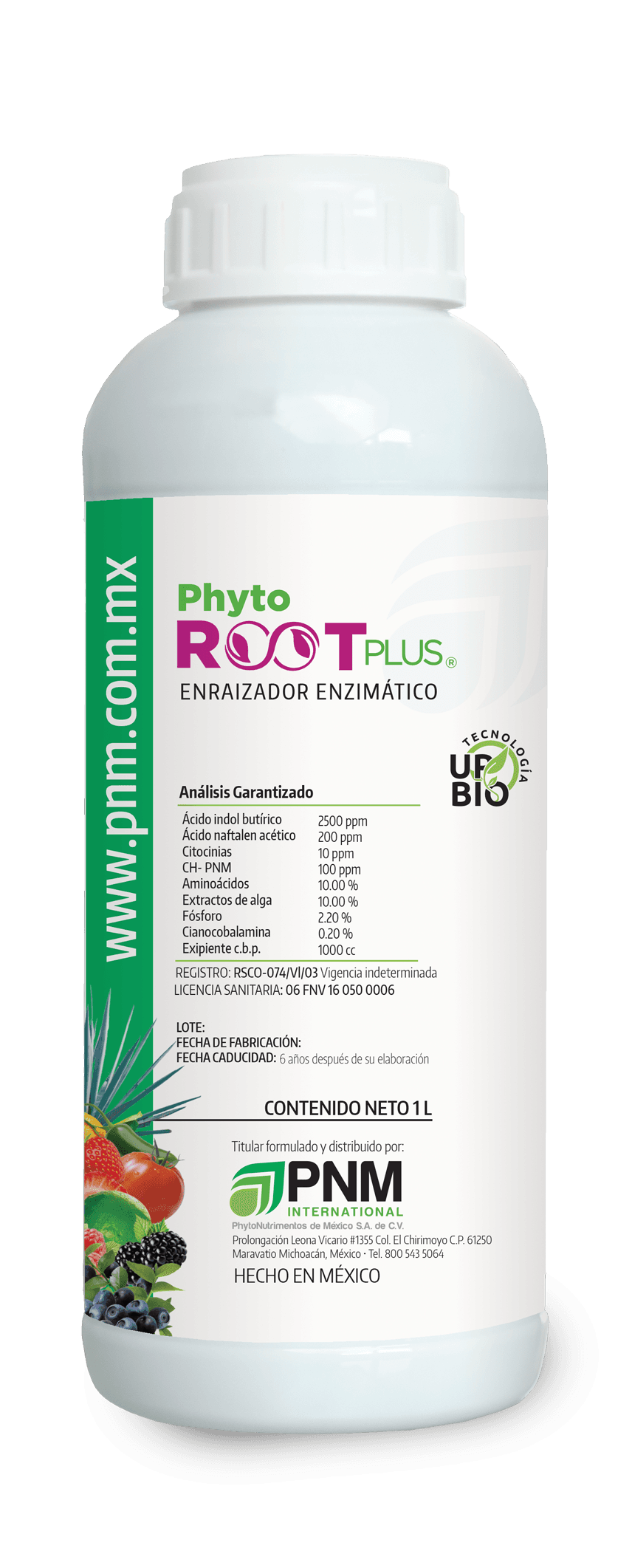 ROOT PLUS