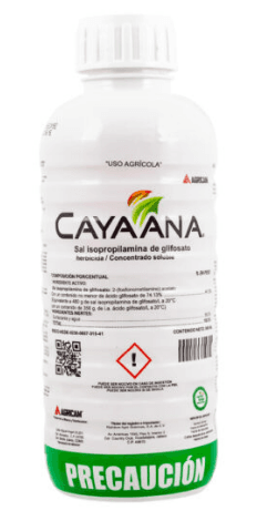 Cayaana