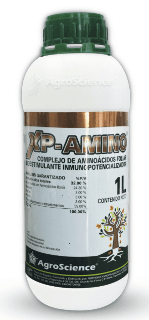 XP AMINO