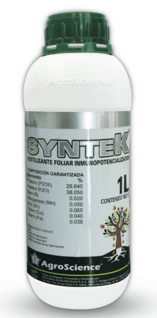 SYNTEK