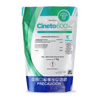Cineto 600