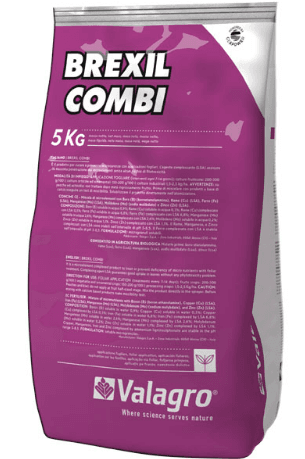 BREXIL COMBI
