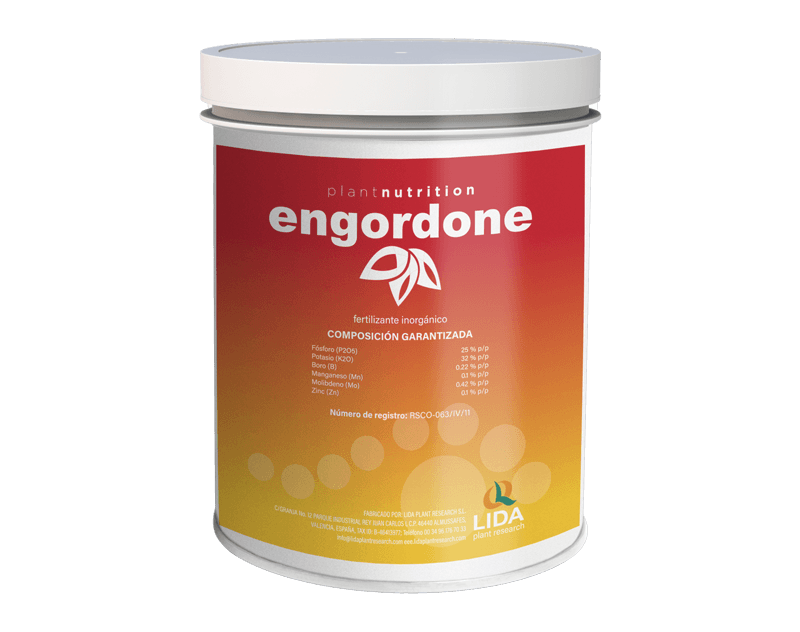 ENGORDONE