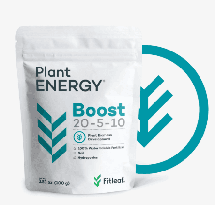 PLANT ENERGY