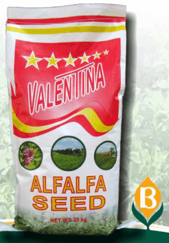 Semilla Valentina