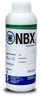 NBX