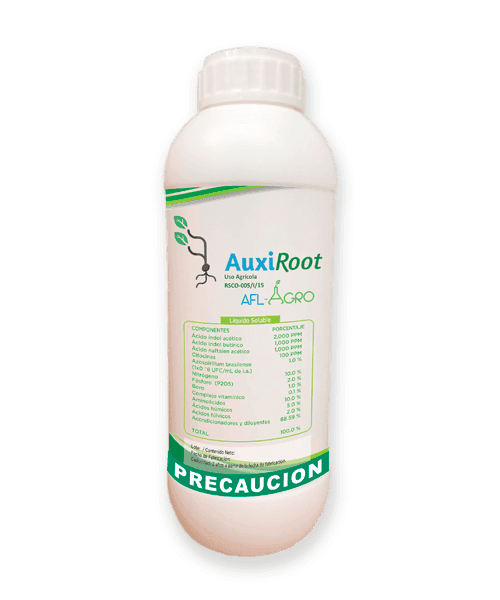 Auxiroot