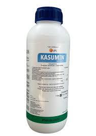 Kasumin