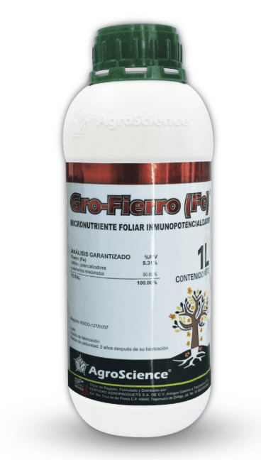 Longro-Fierro