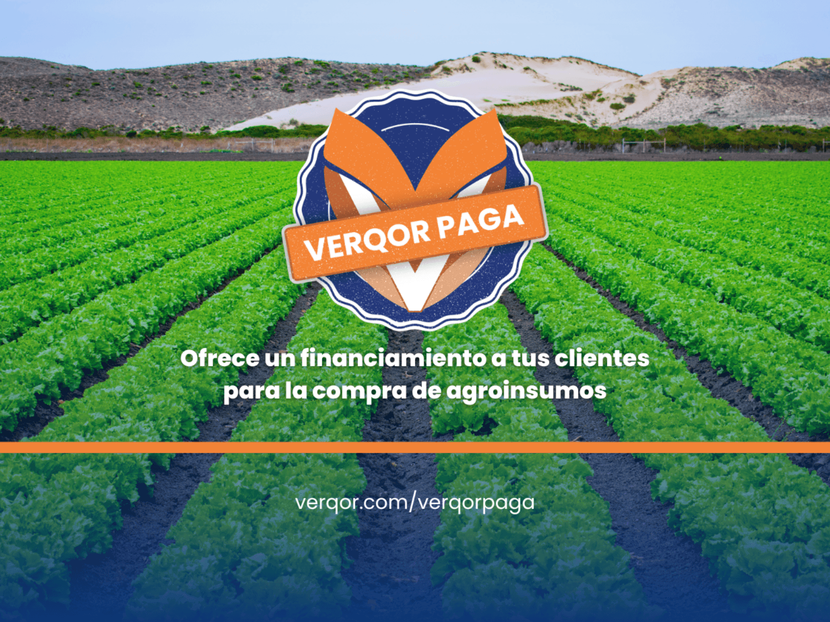 Verqor PAGA: Hacemos equipo para crecer tu tienda de agroinsumos