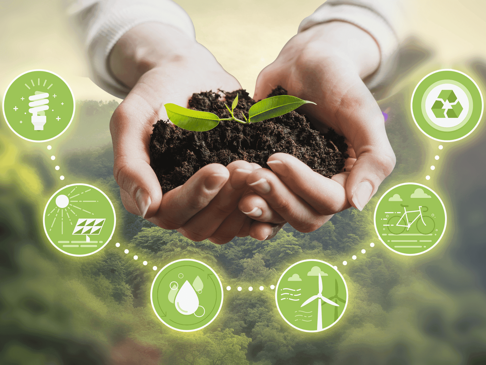 Retos para lograr la sustentabilidad en la agricultura