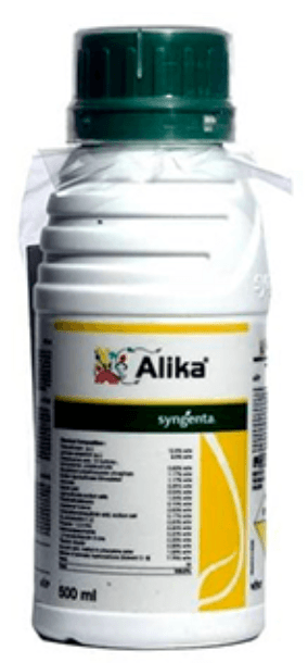Alika