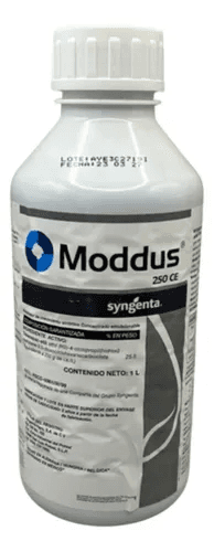 Moddus 250 CE